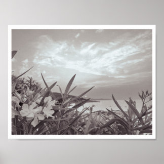 Seaside Fotografy- Black + White Poster