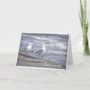 Seaside Seagulls Grußkarte Karte