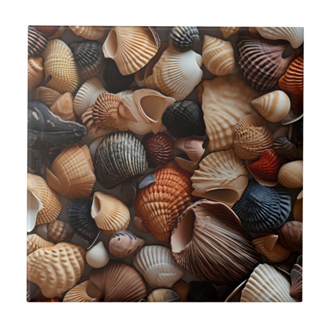 Seaside Seashells Keramik Tile Fliese (Vorderseite)