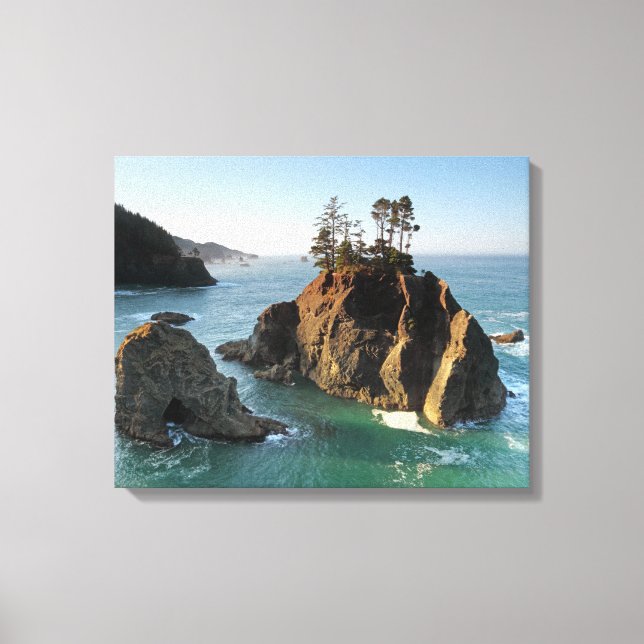 Seastack, Samuel Boardman State Park, Brookings, Leinwanddruck (Vorderseite)
