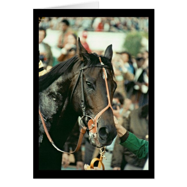 Seattle-DurchlaufThoroughbred 1978 (Vorne)