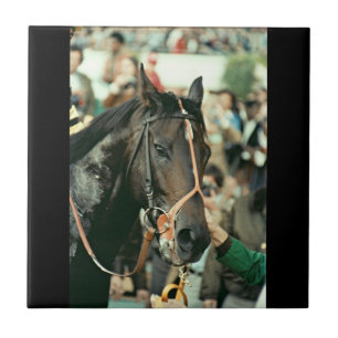 Seattle-DurchlaufThoroughbred 1978 Fliese