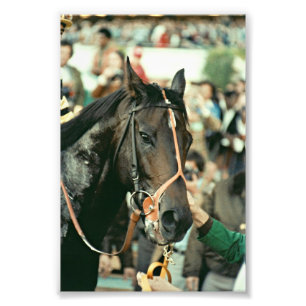Seattle-DurchlaufThoroughbred 1978 Fotodruck