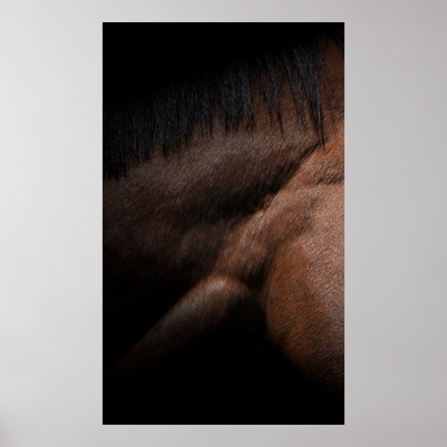 Seattle Poster (Vorne)