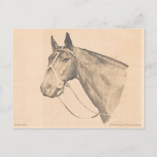 Seattle Slew von Susan Pelisek Kolberg Postkarte
