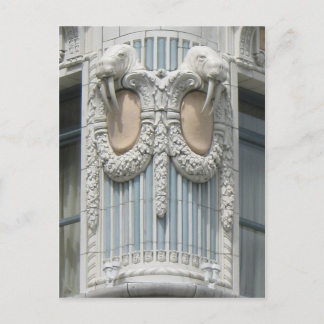 Seattle Walrus Postkarte (Vorderseite)