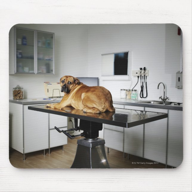Seattle, Washington, USA 2 Mousepad (Vorne)