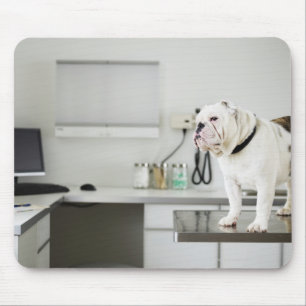Seattle, Washington, USA Mousepad