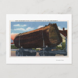Seattle, WashingtonGiant Log auf dem Weg nach Mill Postkarte