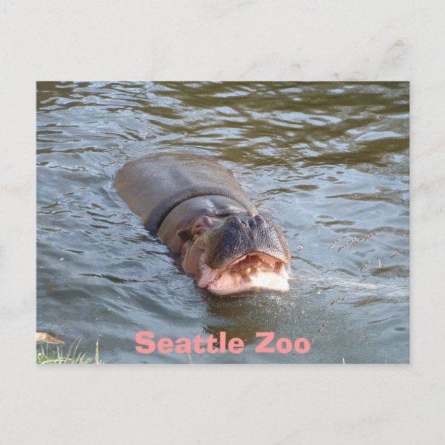 Seattle Zoo Postkarte (Vorderseite)