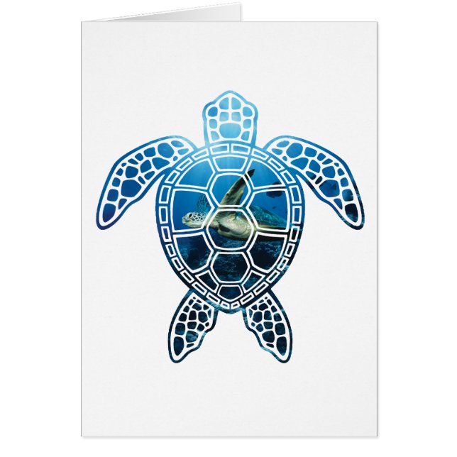 seaturtle-2 (Vorne)