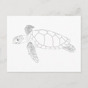 Seaturtle Adult Coloring Postkarte