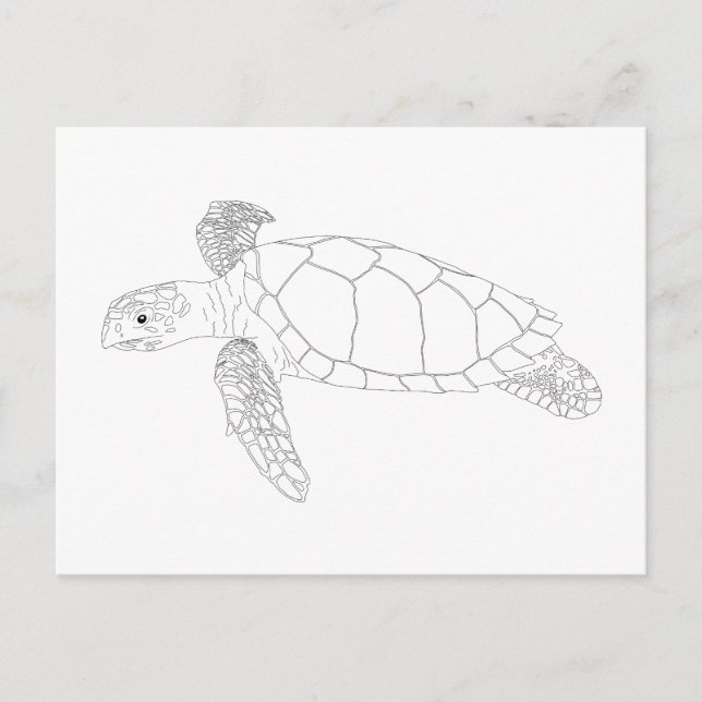 Seaturtle Adult Coloring Postkarte (Vorderseite)