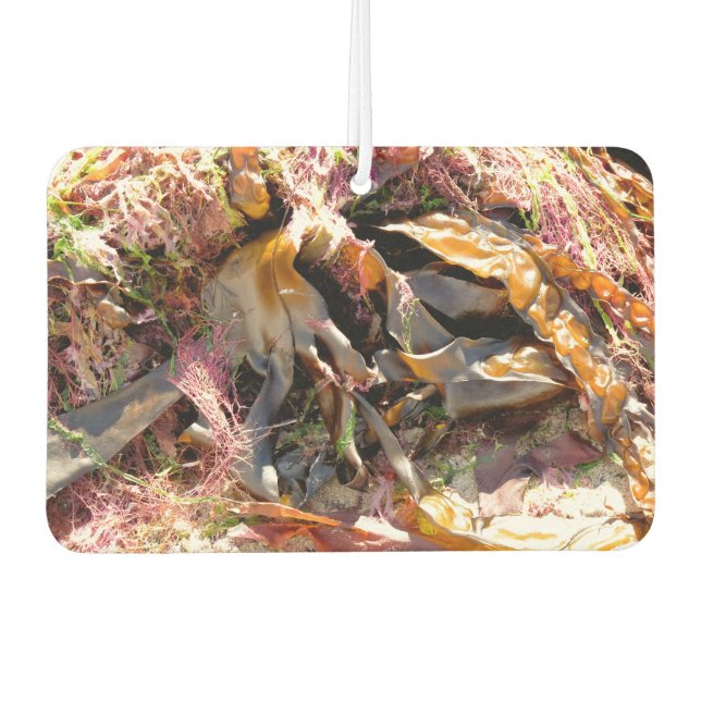 SEAWEED AUTOLUFTERFRISCHER (Vorderseite)