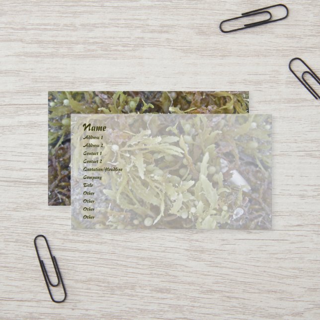 Seaweed Business Card Visitenkarte (Vorderseite/Rückseite Beispiel)