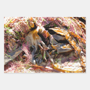 SEAWEED GESCHENKPAPIER SET