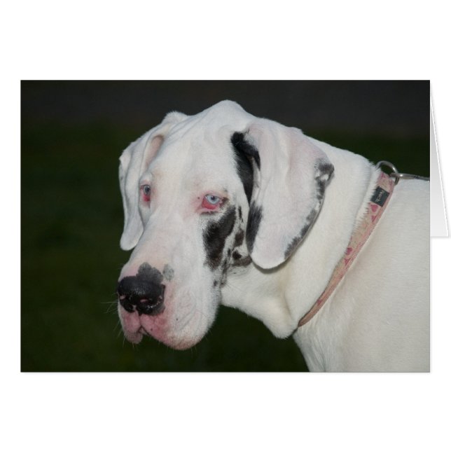 Sebastian (Vorderseite (Horizontal))