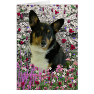 Sebastian, das walisische Corgi in Blume