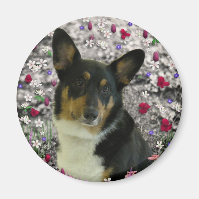 Sebastian, das walisische Corgi in Blume Magnet (Vorne)