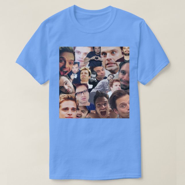 Sebastian Stan Perfection T-Shirt (Design vorne)