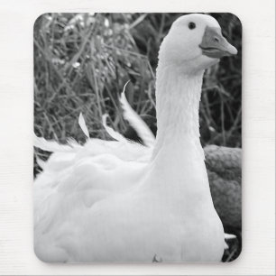 Sebastopol Goose Mousepad