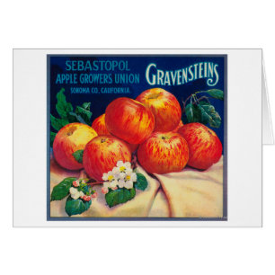 Sebastopol Gravensteins Apple LabelSonoma, CA