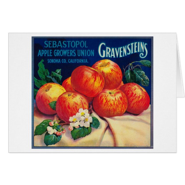 Sebastopol Gravensteins Apple LabelSonoma, CA (Vorderseite (Horizontal))
