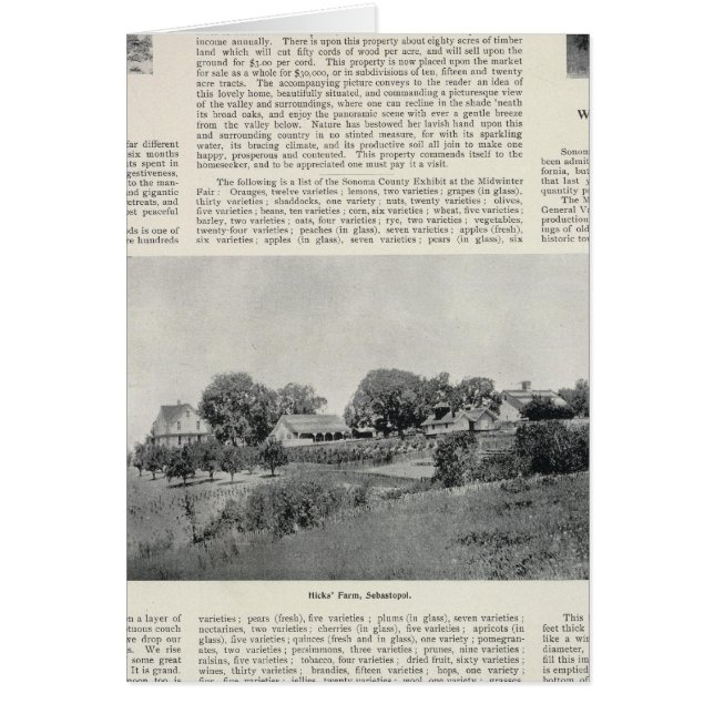 Sebastopol, Kalifornien (Vorne)