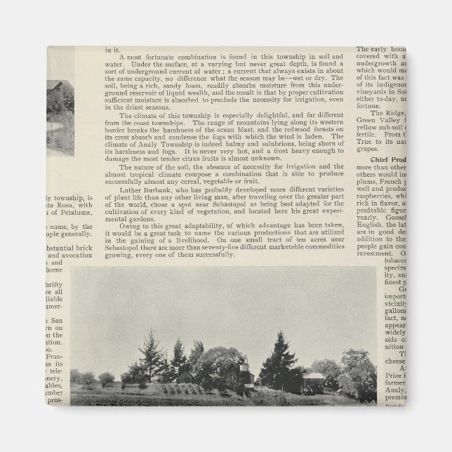 Sebastopol, Kalifornien Magnet (Vorne)