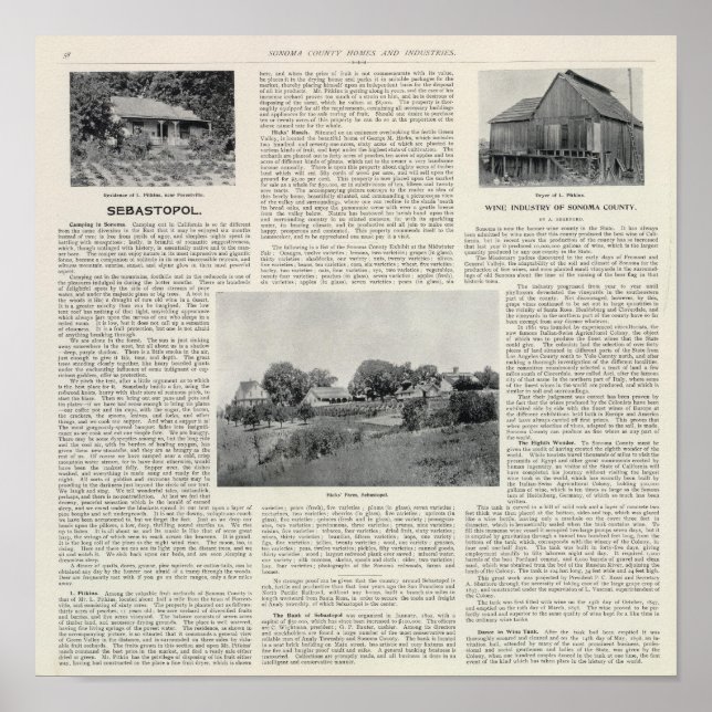 Sebastopol, Kalifornien Poster (Vorne)