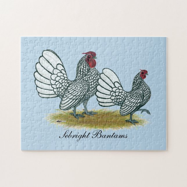 Sebright Bantams: Silber Puzzle (Horizontal)