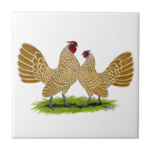 Sebrights Büffelleder geschnürt Fliese