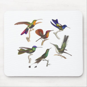 Sechs bunte Kolibris Mousepad