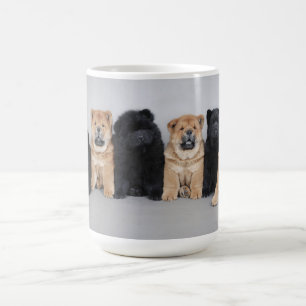 Sechs Chow Chow-Tasse Tasse
