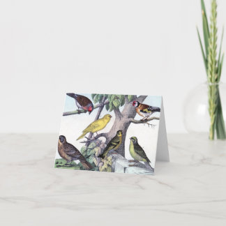 Sechs farbenfrohe Vögel Vintage Postkartenkunst. Karte