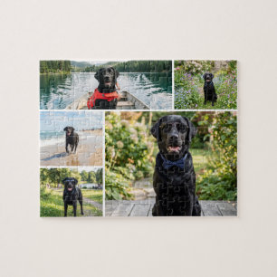 Sechs-Foto-Collagen-Vorlage Puzzle