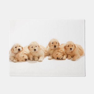 Sechs Golden Retriever Welpen Fußmatte