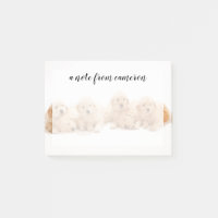 Sechs Golden Retriever Welpen