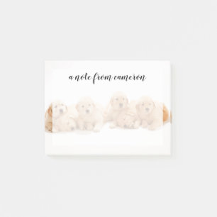 Sechs Golden Retriever Welpen Post-it Klebezettel