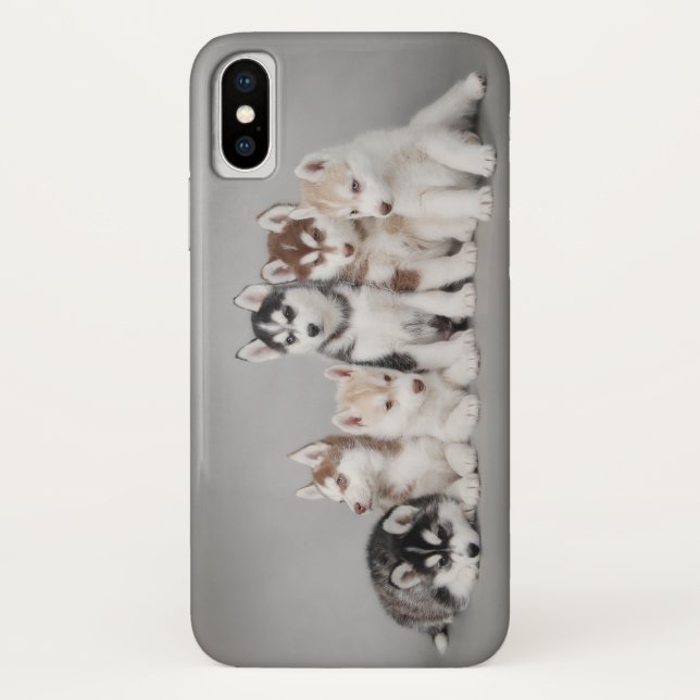 Sechs Huskie-Welpen Case-Mate iPhone Hülle (Rückseite)