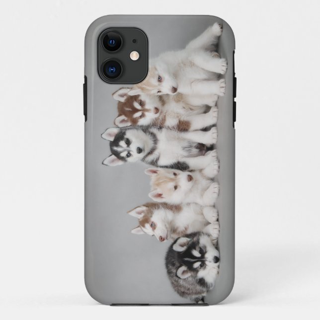 Sechs Huskies Case-Mate iPhone Hülle (Rückseite)