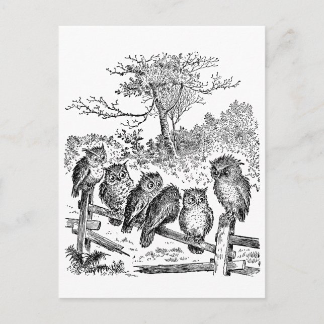 Sechs kleine Löwen sitzen auf einem zerbrochenen Z Postkarte (Vorderseite)