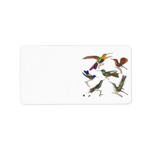 Sechs schöne Kolibris durch Rene-Lektion Adressaufkleber