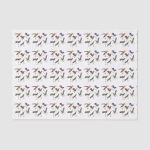 Sechs schöne Kolibris Seidenpapier