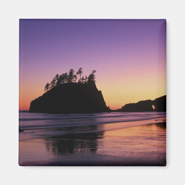 Second Beach at Twilight, Olympic NP, WA, USA Magnet (Vorne)