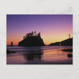 Second Beach bei Dämmerung, Olympic NP, WA, USA Postkarte