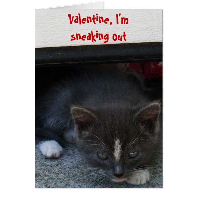 SECRET ADMIRER VALENTINE KITTY Card (Vorne)