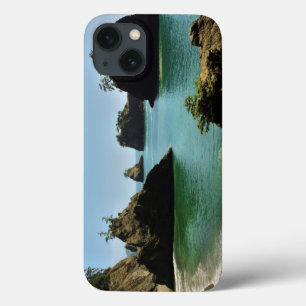 Secret Beach, Boardman Staat Park, Oregon, USA Case-Mate iPhone Hülle