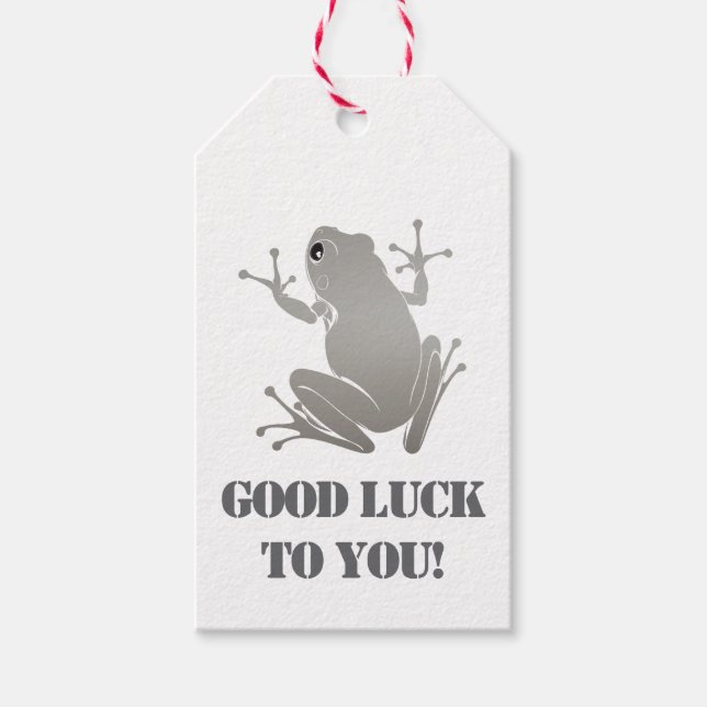 Secret Heart -Silver Flying Frog Classic Geschenkanhänger (Vorderseite)
