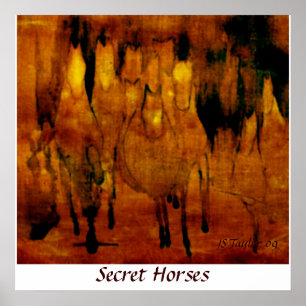 Secret Horses Poster